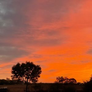 Meet your Posher, Jodadaza